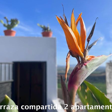 Apartmán Casa Abades Arcos De La Frontera Exteriér fotografie