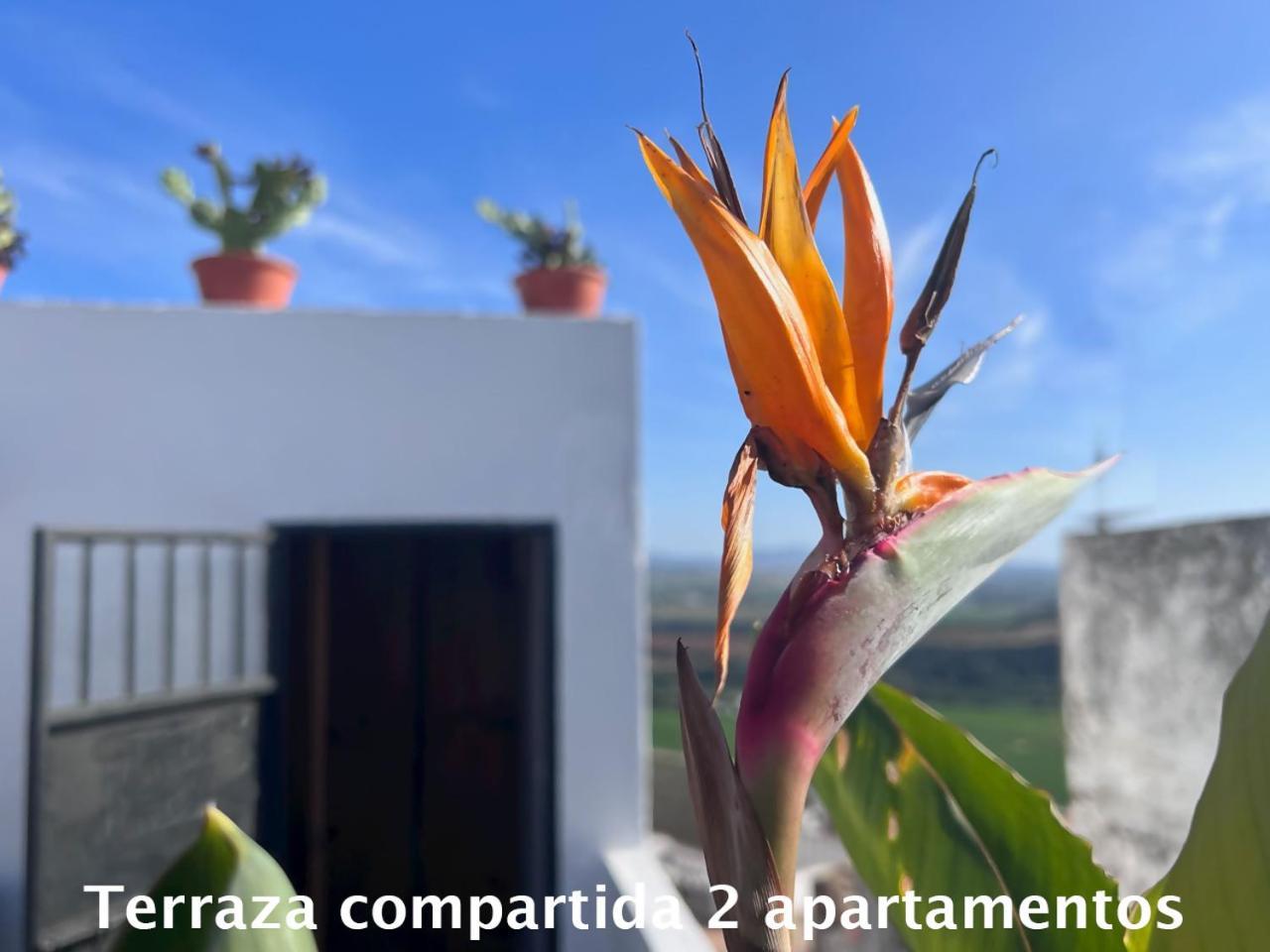 Apartmán Casa Abades Arcos De La Frontera Exteriér fotografie