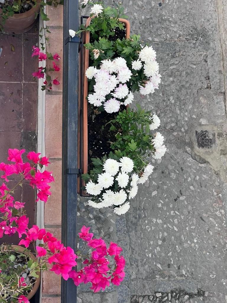 Apartmán Casa Abades Arcos De La Frontera Exteriér fotografie